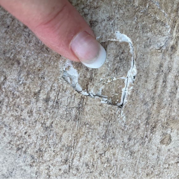 Vintage Victorian Rose Flower Shop Hand Painted Sign - Picture 8 of 10